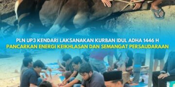 PLN UP3 Kendari Laksanakan Kurban Idul Adha 1446 H, Pancarkan Energi Keikhlasan dan Semangat Persaudaraan