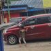Miris Anak Kecil Jadi Pengemis di Lampu Merah, Sao -Sao   Kota Kendari