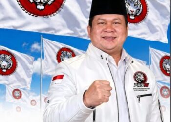 H. Amir, Ukir Sejarah Putra Daerah Sulawesi Tenggara Pertama yang Menembus Panggung Nasional